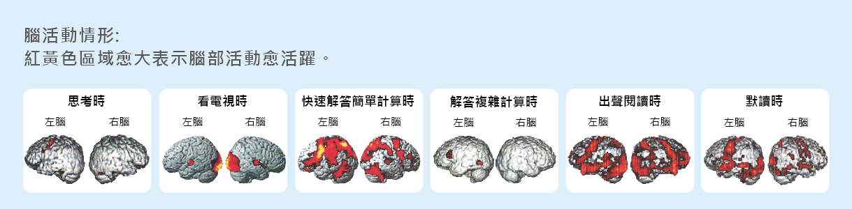 brain course_02.jpg